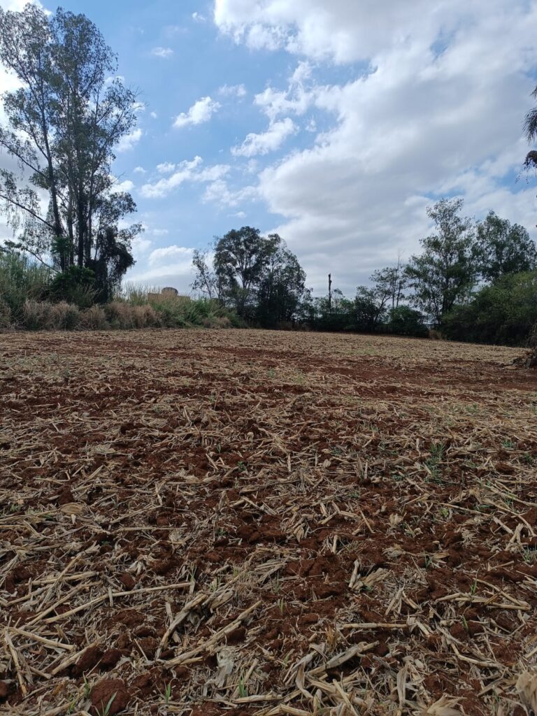 32a91a3e-90a1-4701-92e8-508f58fe6ace (1)