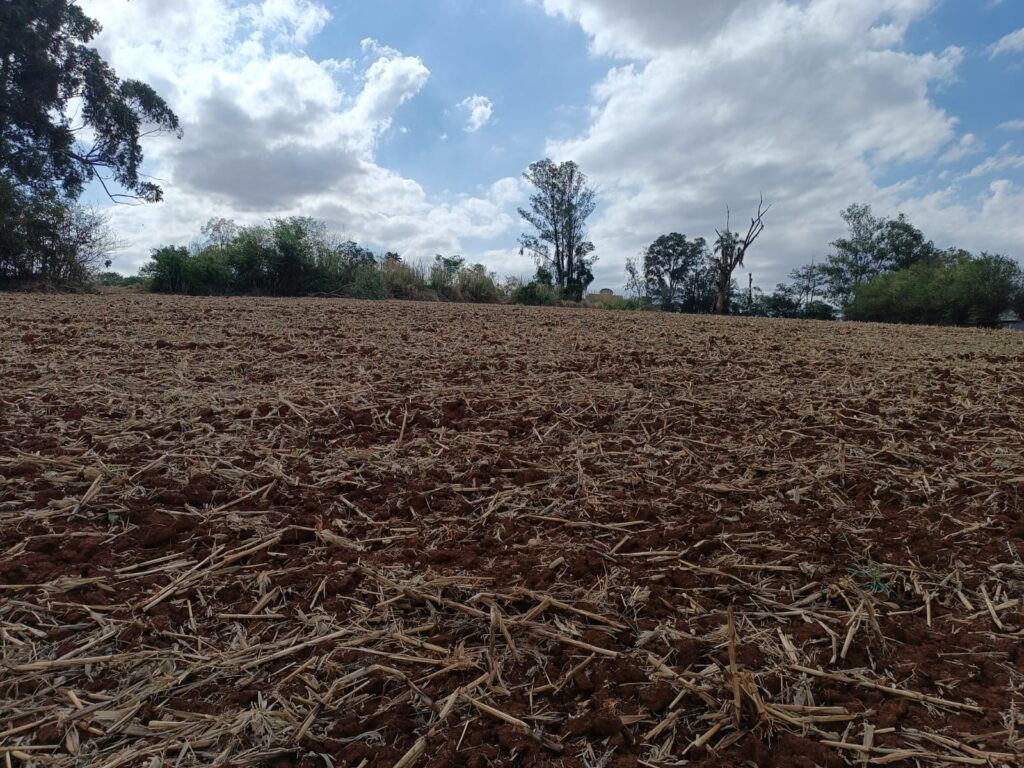 351d69b4-deae-4bee-bb75-493cf346a911