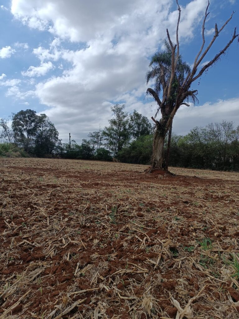 6169ea92-6a26-4161-acdd-2870cd5c5e8f (1)