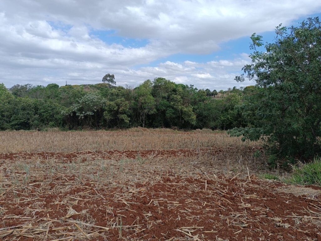 6aab22ae-c651-4778-a1a8-78ff3be71ad9