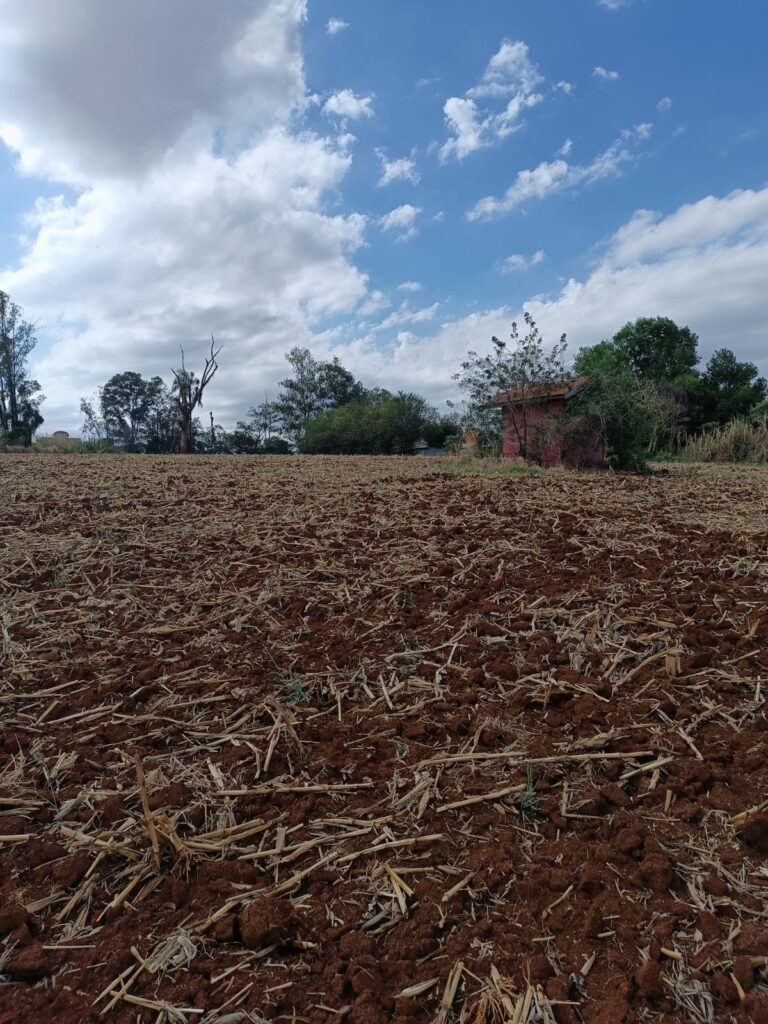 b7b7f904-0fc0-426a-9e50-3231dce8cd6a