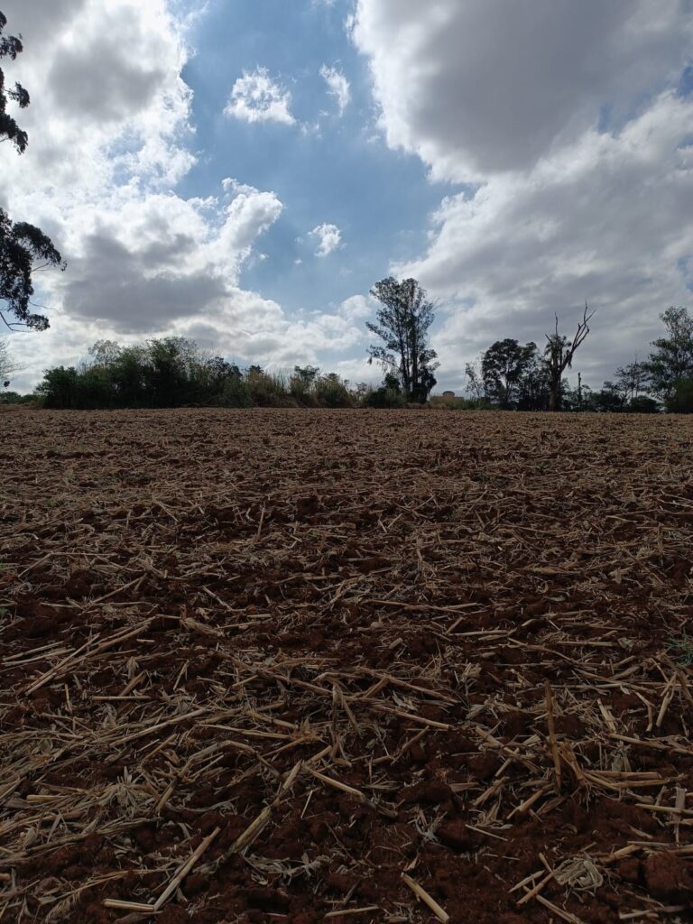 defb2c5e-6a7d-4478-a1ad-fc3af6bf6b0a