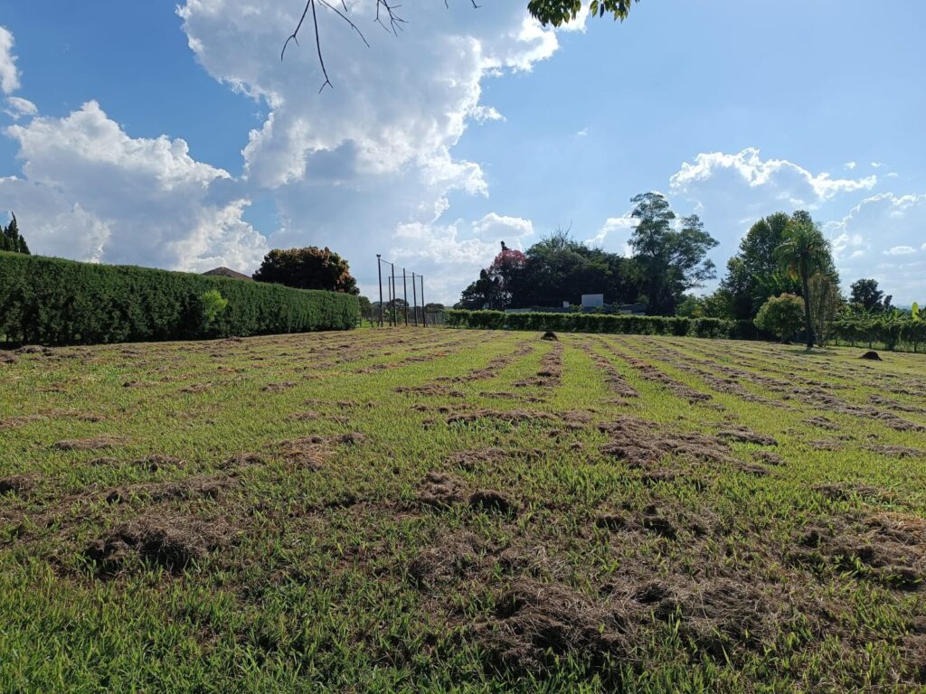 603025ee-ec58-4e5d-b65c-e38e37c94eed