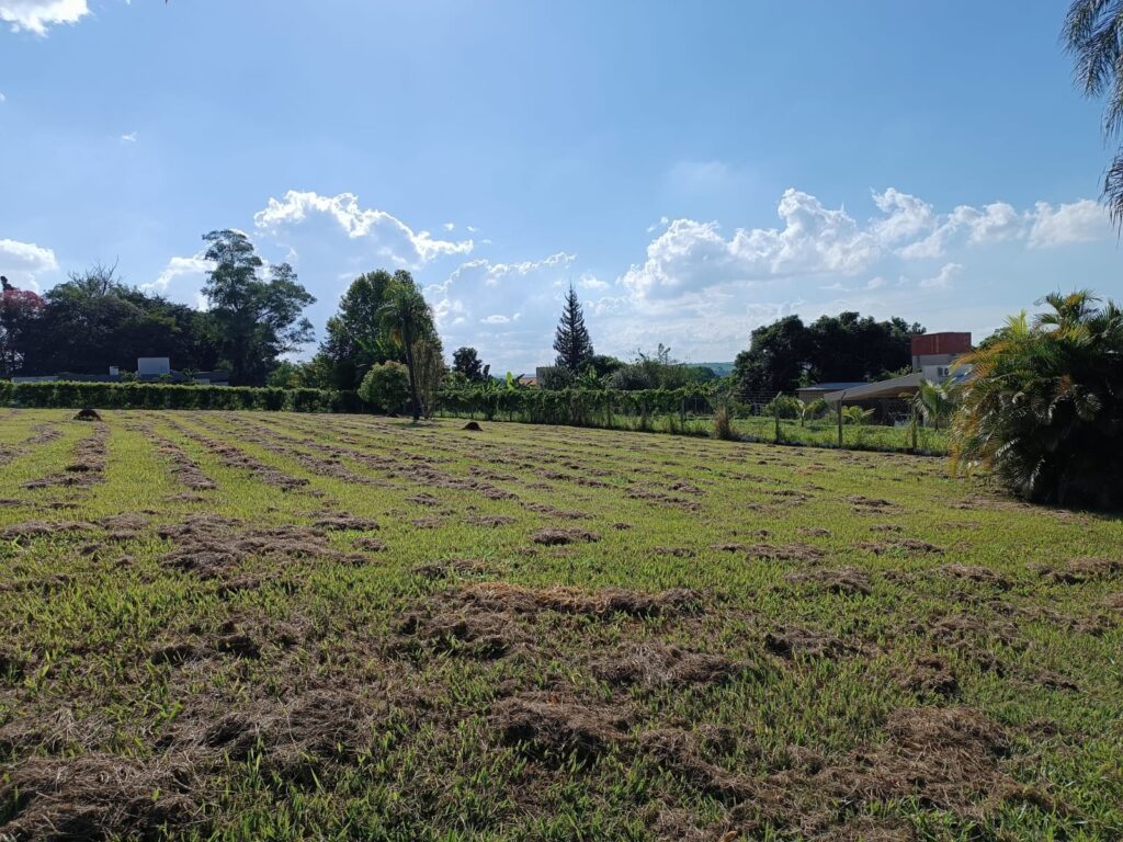 882410cb-95c6-4ecd-8ad4-50a210467242