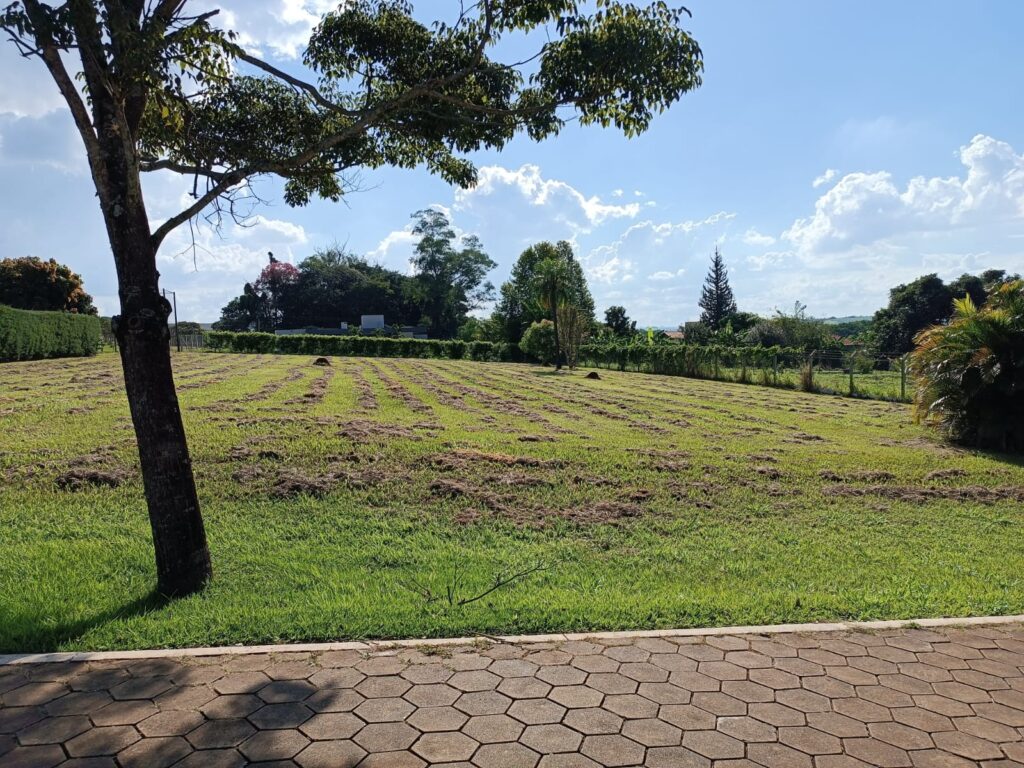 a55f6d00-a099-4da4-83c3-41a37af1c381