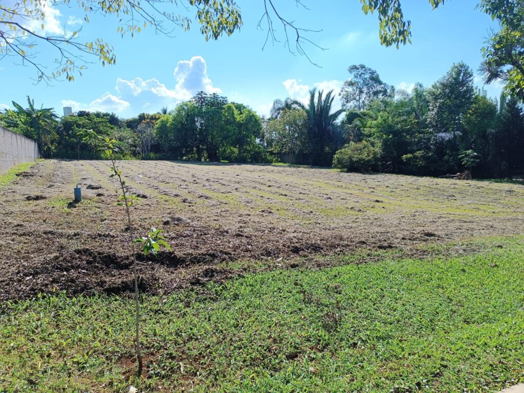 c34d0816-6c2a-4f61-a6cb-c1d3a666f9a2