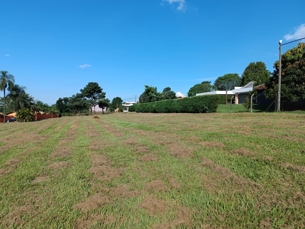 ee1d1be6-7b46-4177-9a08-b2c197b9f898