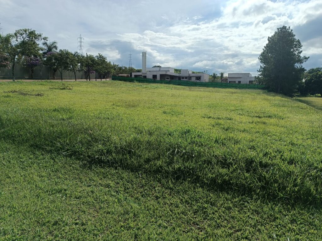 Foto lote BT principal