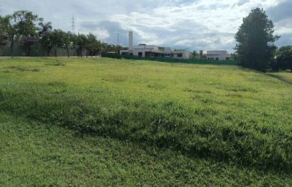 Foto lote BT principal