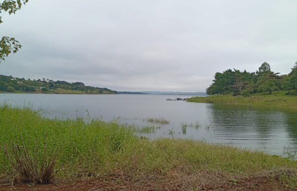 01 agua