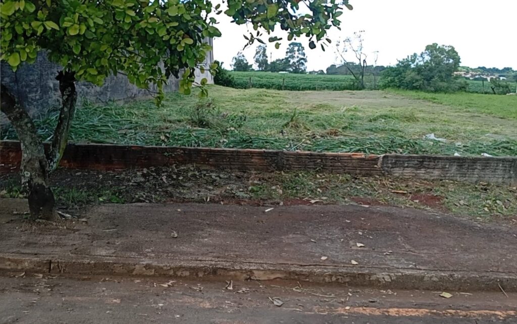 terreno fabio frente